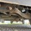 2013-ford-f150-image-28
