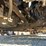 2017-freightliner-cascadia-125-image-44