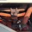 leon-707-image-24