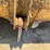 caterpillar-950b-image-9