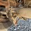#3263-•-1998-wabash-53'-dry-van-image-22