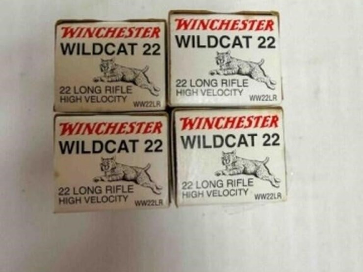 winchester-.22-ammo-image-1