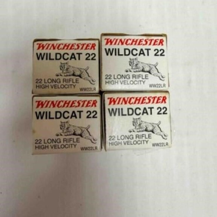 Winchester .22 ammo