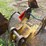 #1769-•-approx-36"-excavator-bucket-image-6