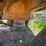 #1799-•-allis-chalmers-hydro-cone-600-crusher-image-9