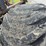 deere-1110d-image-67