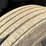 2020-international-12-image-79