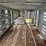 #2150-•-2017-barrett-53'-cattle-semi-trailer-image-43