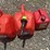 #226-•-(2)-5-gallon-gas-can-&-(1)-2-gallon-can-image-6