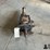 ford-429-cobra-jet-top-loader-4-speed-transmission-image-2