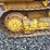 2020-caterpillar-d2-image-14
