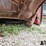 ford-f100-image-13