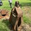 #1194-•-bypass-grapple-image-3