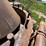 #1799-•-allis-chalmers-hydro-cone-600-crusher-image-17