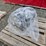#6169-•-unused-paladin-industrial-pld-twp80-semi-trash-water-pump-image-1