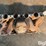 ford-429-super-cobra-jet-intake-manifold-image-11