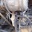 2009-deere-310sj-image-38