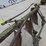 #5038-•-4-bottom-plow-image-10