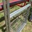 2-4'-gates-image-2