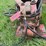 #1192-•-bypass-grapple-image-10