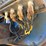 caterpillar-c27-image-41