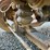 2001-mack-rd688s-image-30