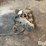 1972-ford-429-police-interceptor-intake-manifold-image-2