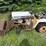 international-cub-image-1