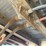 #3263-•-1998-wabash-53'-dry-van-image-16