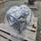 #6169-•-unused-paladin-industrial-pld-twp80-semi-trash-water-pump-image-3