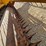 new-holland-492-image-15