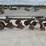 #5038-•-4-bottom-plow-image-5