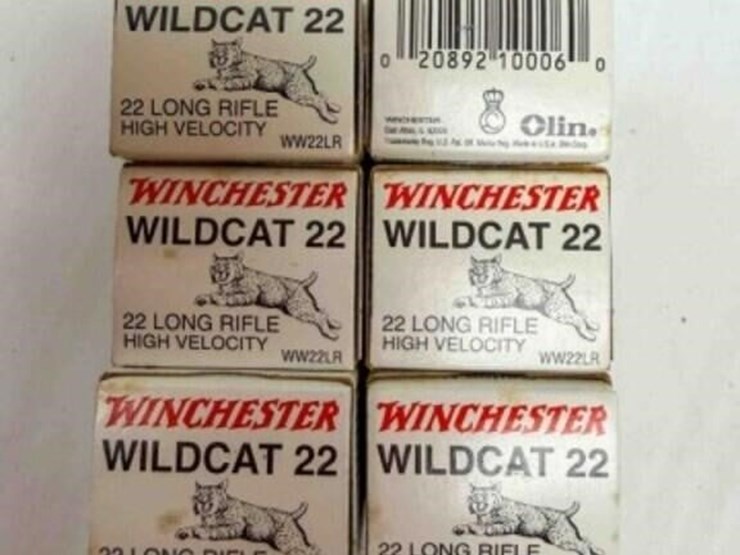 winchester-.22-ammo-image-1