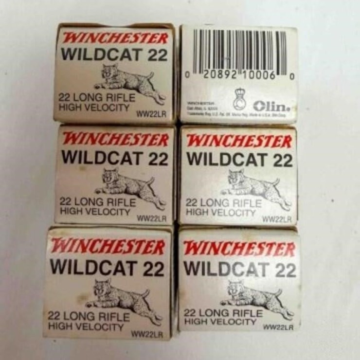 Winchester .22 ammo