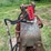 #1194-•-bypass-grapple-image-5