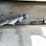 #7178-•-char-griller-flat-top-propane-grill-image-11