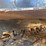 komatsu-pc200-lc-6le-image-107