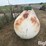 500-gal-propane-tank-image-8