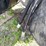 #7110-•-stumper-280-hd-stump-grinder-image-12