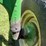 1984-john-deere-4250-image-18
