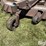 grasshopper-725-image-10
