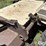 grasshopper-725-image-20