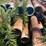 #26-•-large-lot-of-pipe-|-more-info-coming-soon-image-402
