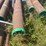 #26-•-large-lot-of-pipe-|-more-info-coming-soon-image-327