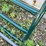 #7145-•-metal-livestock-gate-image-3