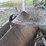 #5595-•-john-deere-wooden-draper-spreader-image-4