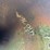 #26-•-large-lot-of-pipe-|-more-info-coming-soon-image-207