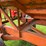 #2226-•-bradford-gravity-box-wagon-image-19