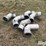 8"-aluminum-pipe-fittings-image-3