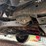 ford-f250-image-47